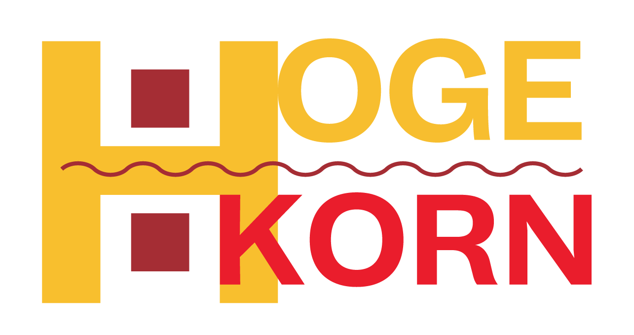 Hoge-Korn- Nieuwbouw in Buren